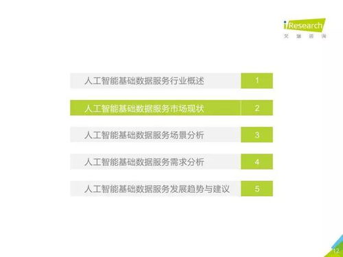 中國人工智能基礎數據服務行業與基礎軟件開發現狀與趨勢評析